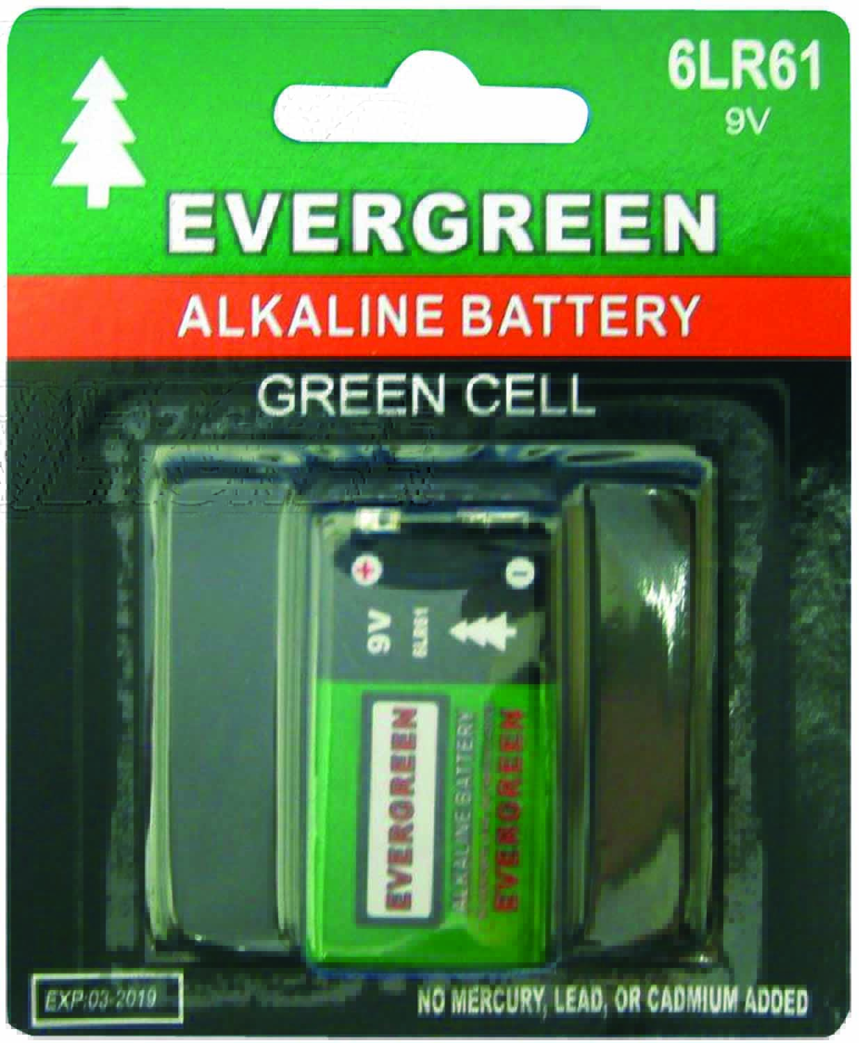 EVERGREEN  - EB9V 9 VOLT ALKALINE BATTERY IN DISPLAY PACKAGE